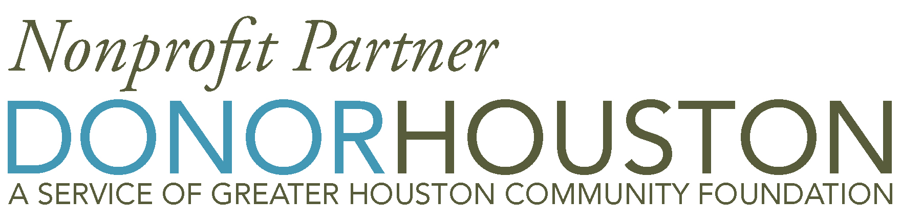 DONORHOUSTON.ORG